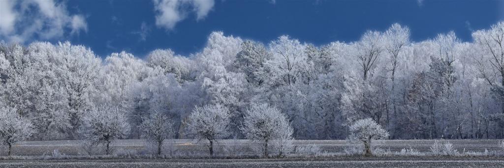 Natur am 22.11.2025 nach Nebelauflösung
