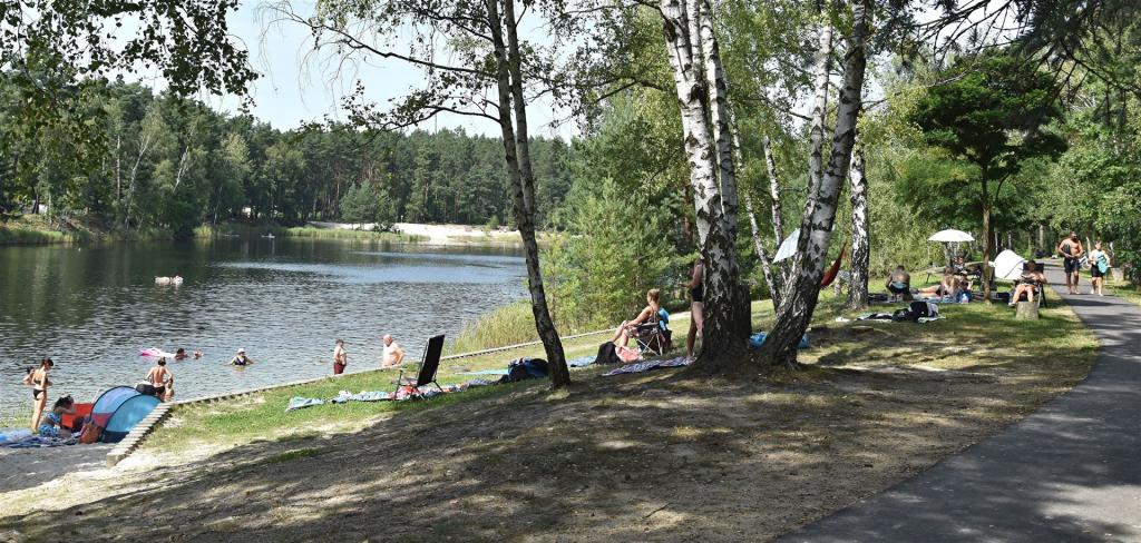 Waldsee am 15.08.2025