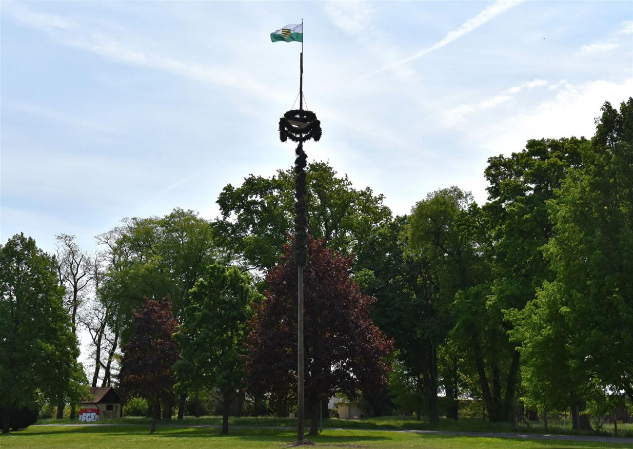 Maibaum 2025 auf dem Dorfplatz