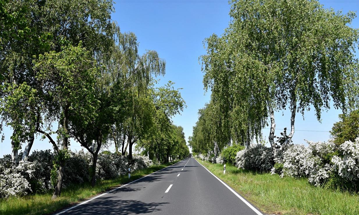 Straße S 130 Halbendorf - Groß Düben