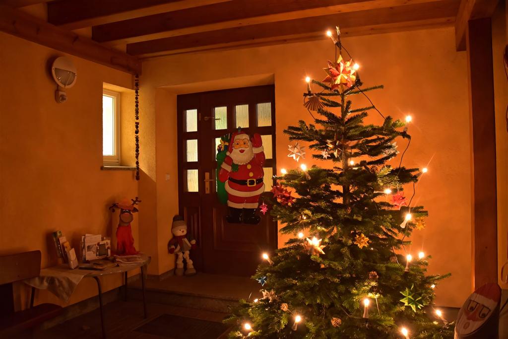 Weihnachtsbaum Kita GD_Denoise