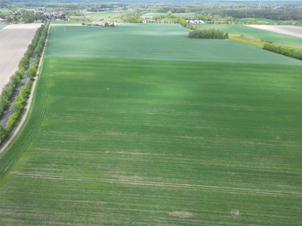 Fläche für Photovoltaikfreiflächenanlage Groß Düben