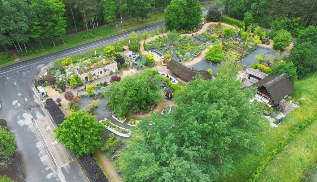 Garten Eden im Juni 2026