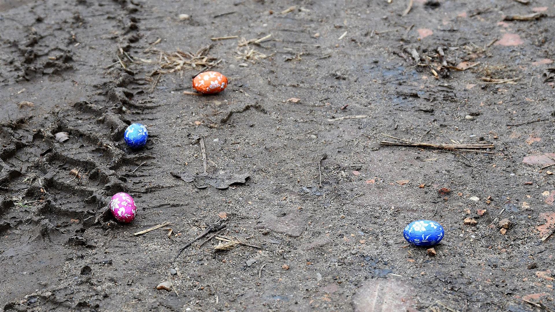 Im Osterhasenwald 2026