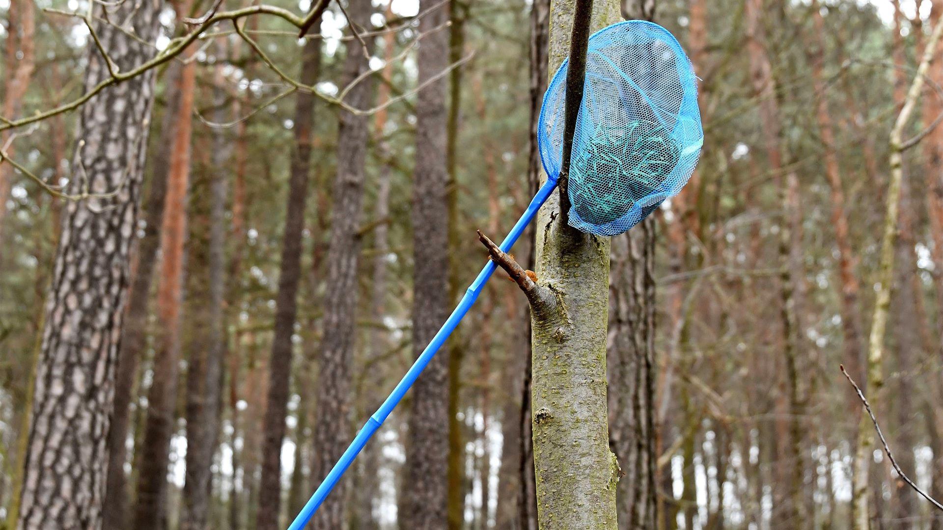 Im Osterhasenwald 2026