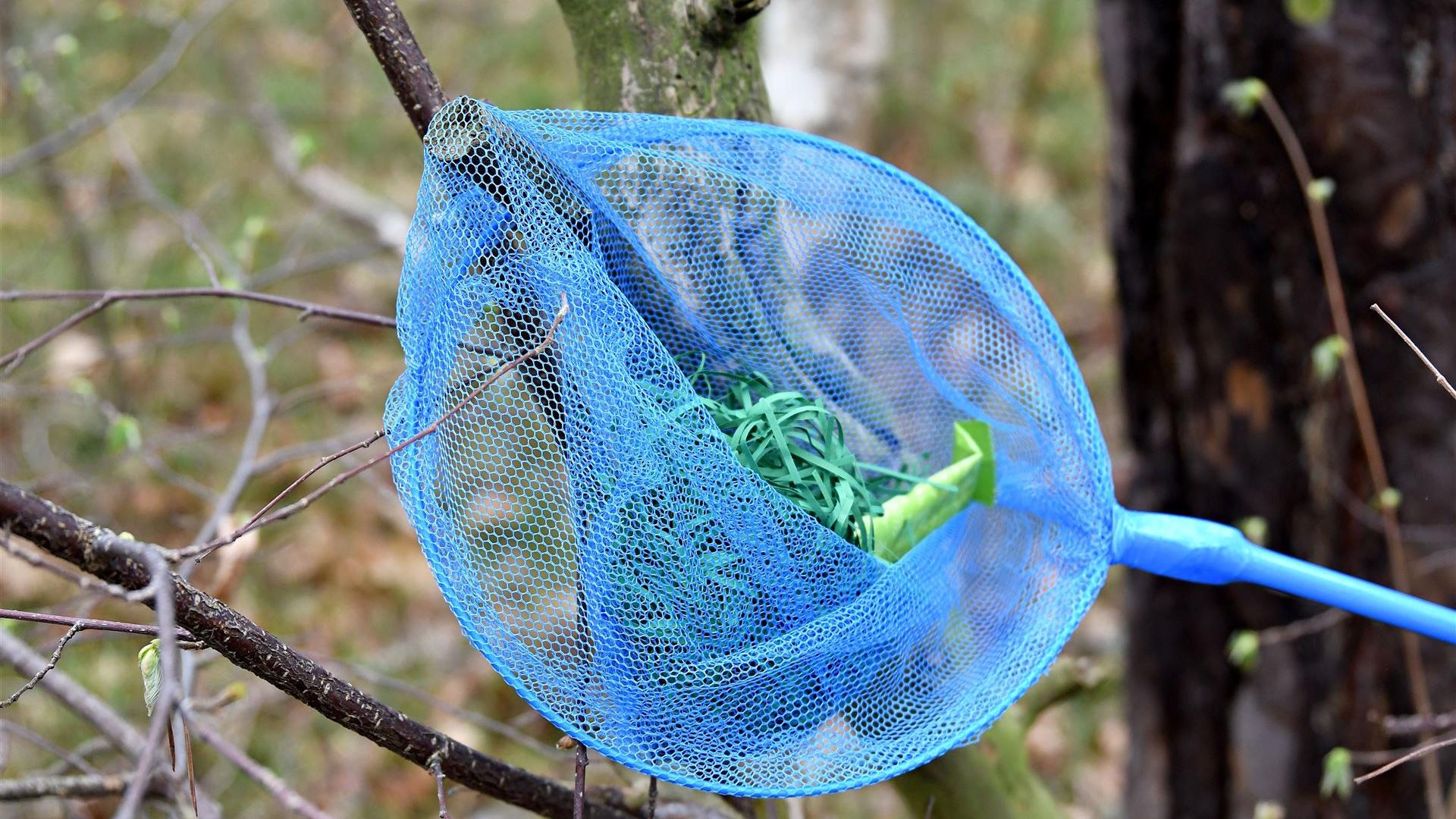 Im Osterhasenwald 2026