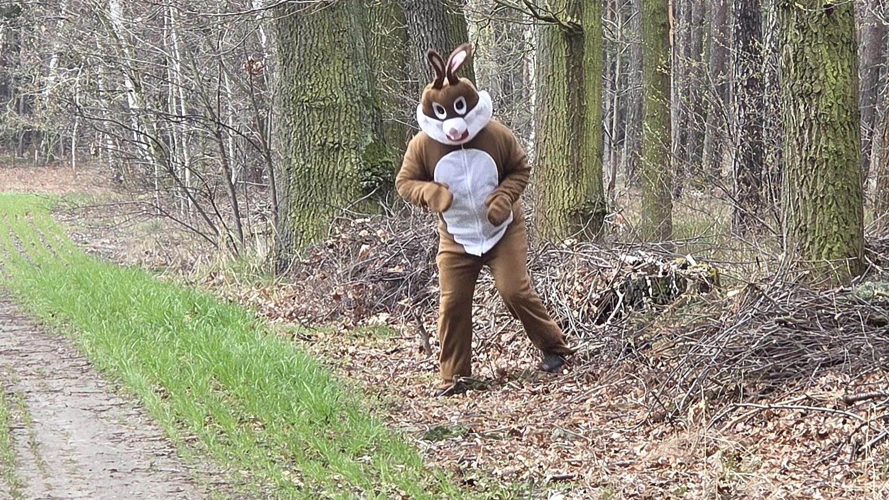 Im Osterhasenwald 2026