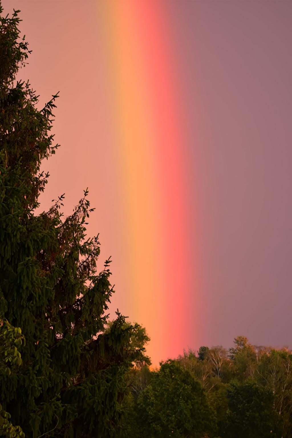 Naturschauspiel Regenbogen am 11.10.2026