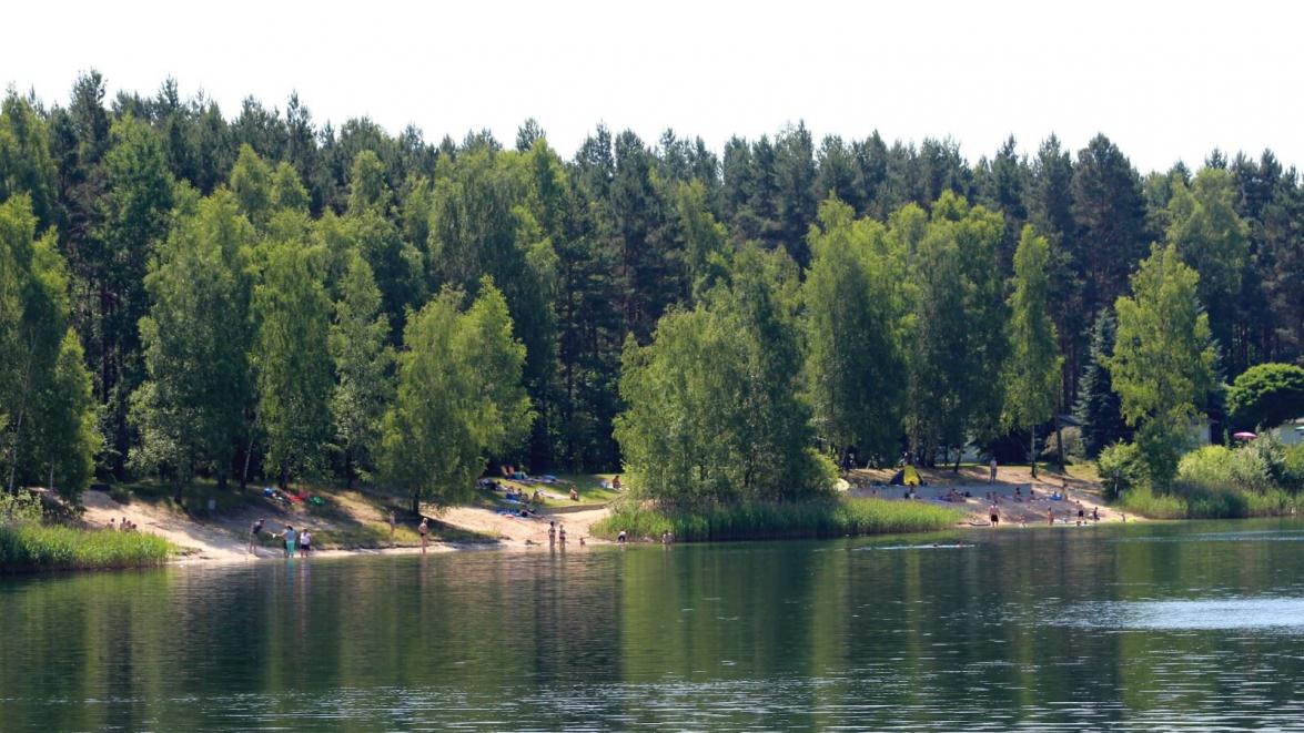 Waldsee