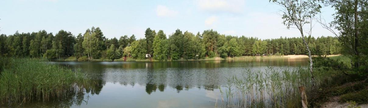 Idyllischer Waldsee Groß Düben