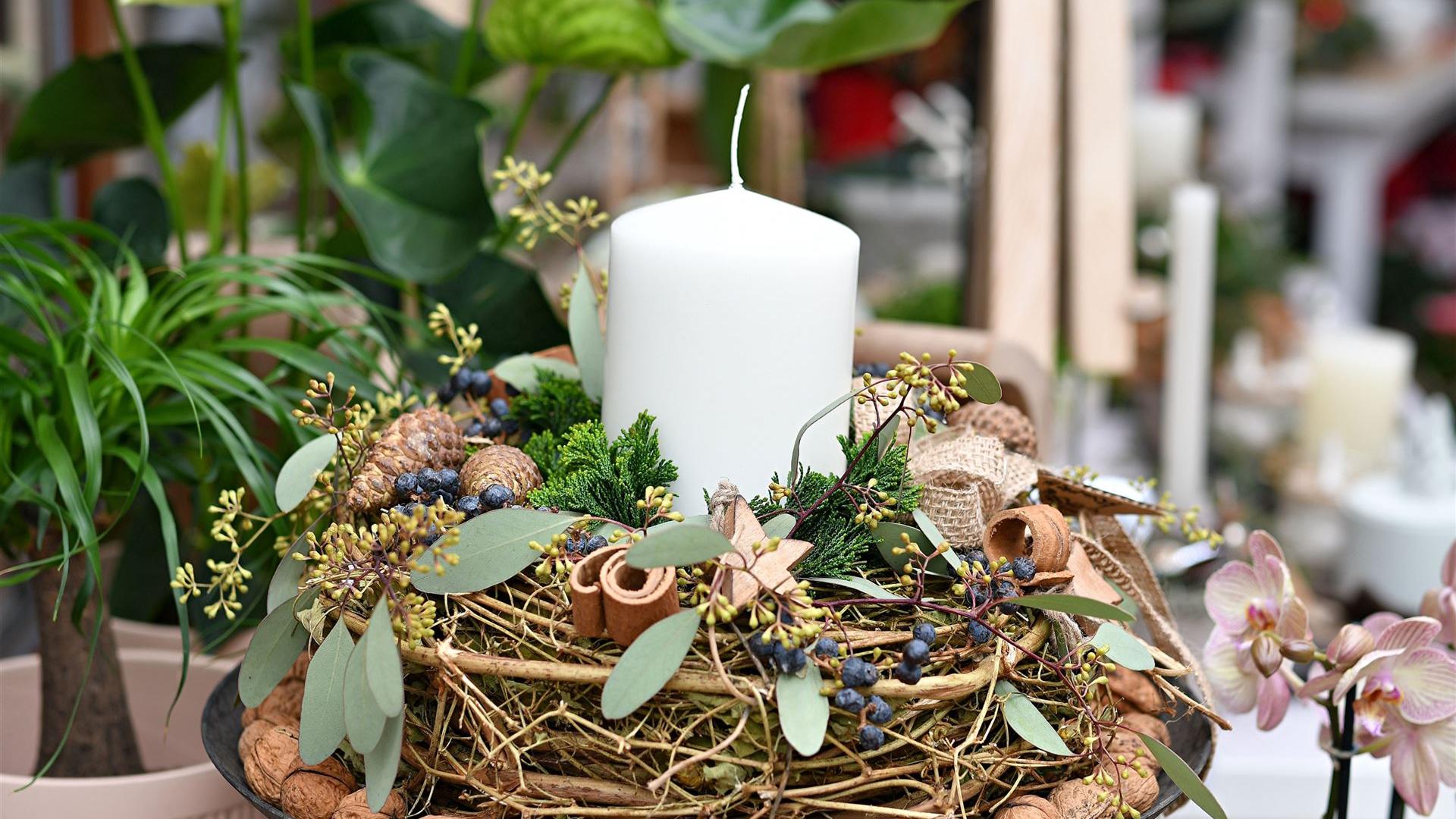 Advent im Blumenladen 2025