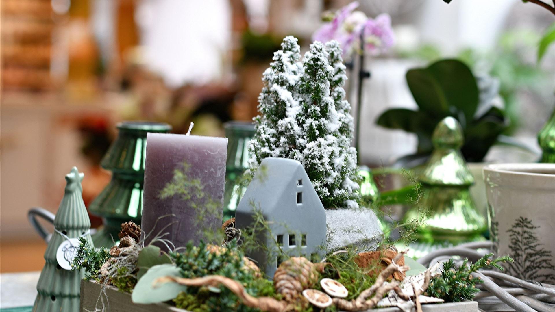 Advent im Blumenladen 2025