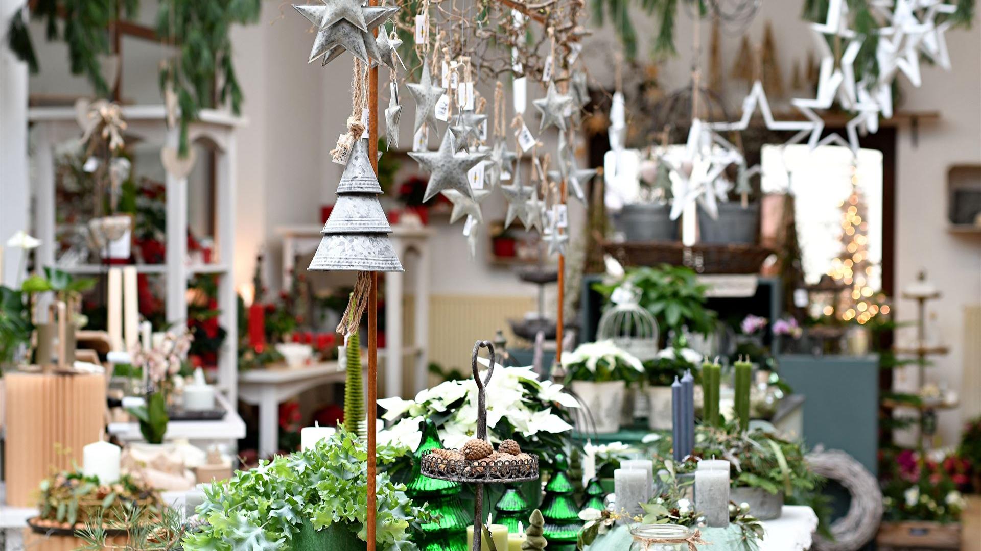 Advent im Blumenladen 2025