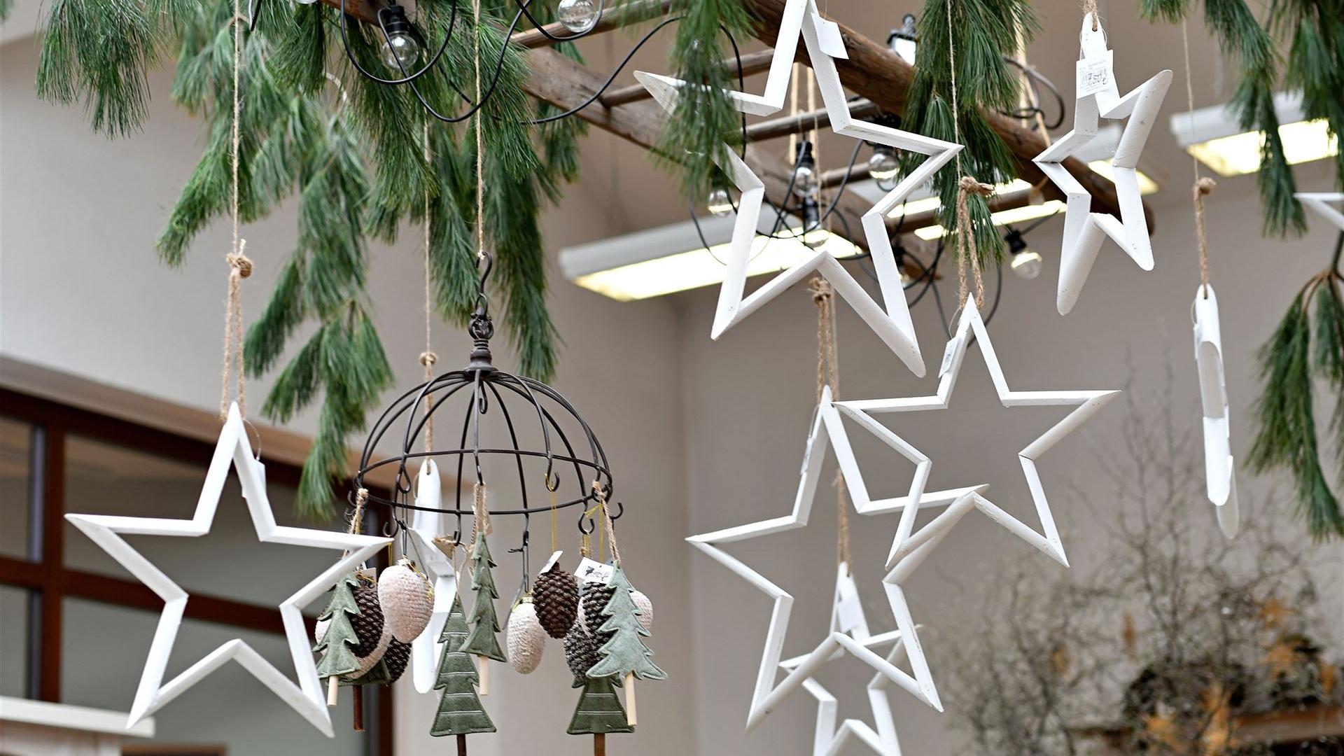 Advent im Blumenladen 2025