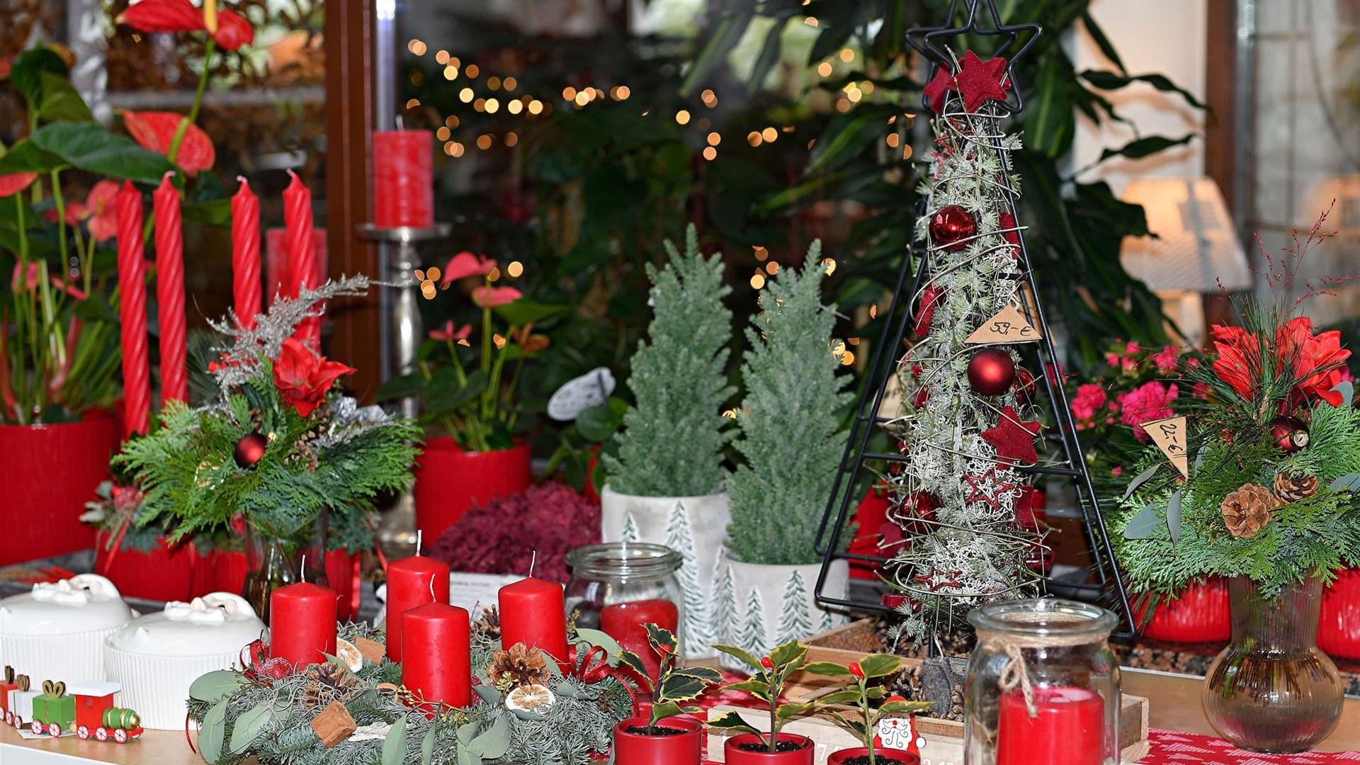 Advent im Blumenladen 2025