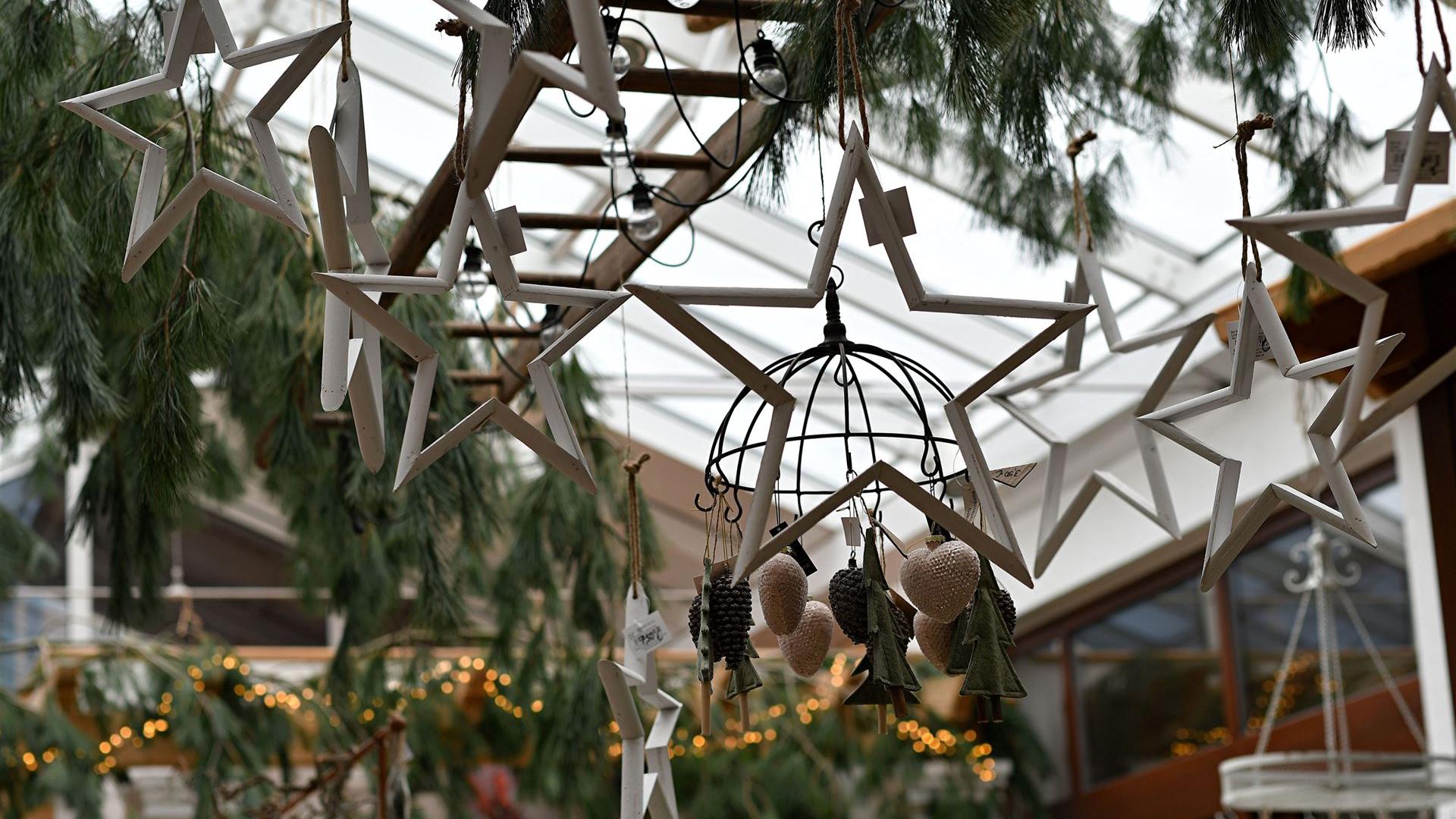 Advent im Blumenladen 2025