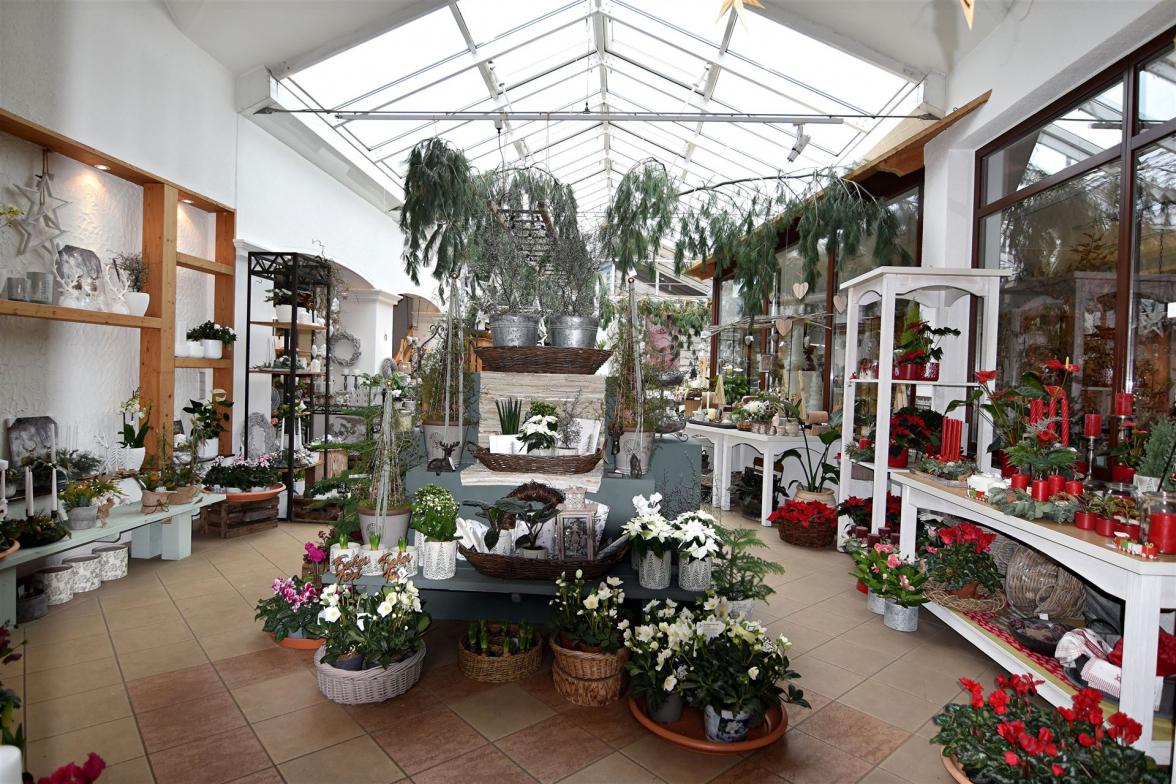 Eingang zum Blumenladen Krautz