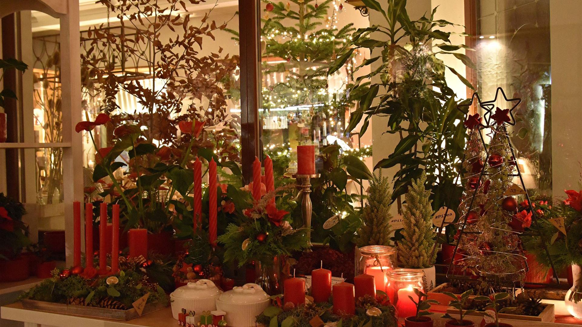 Abend im Blumenladen