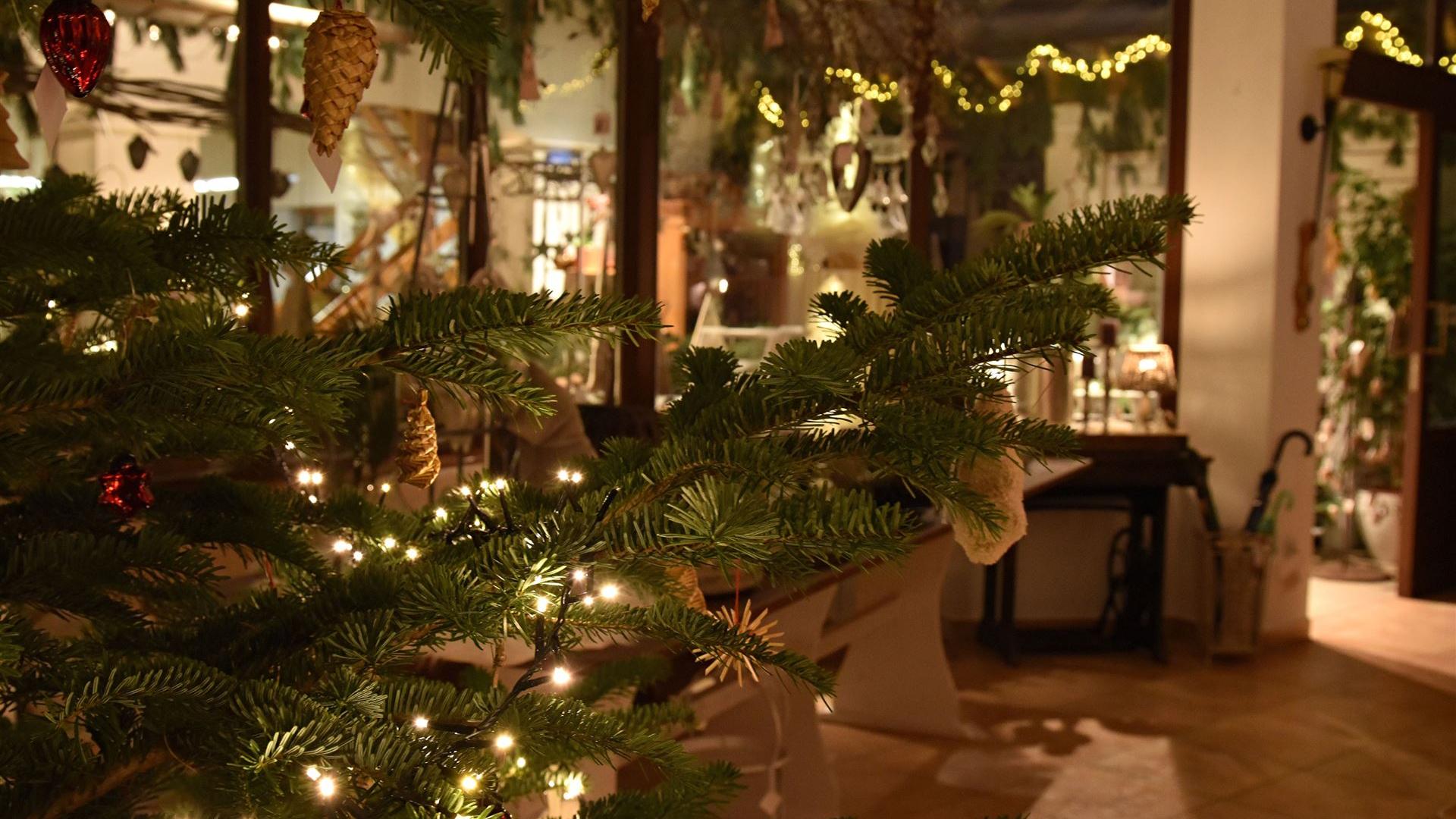 Abend im Blumenladen