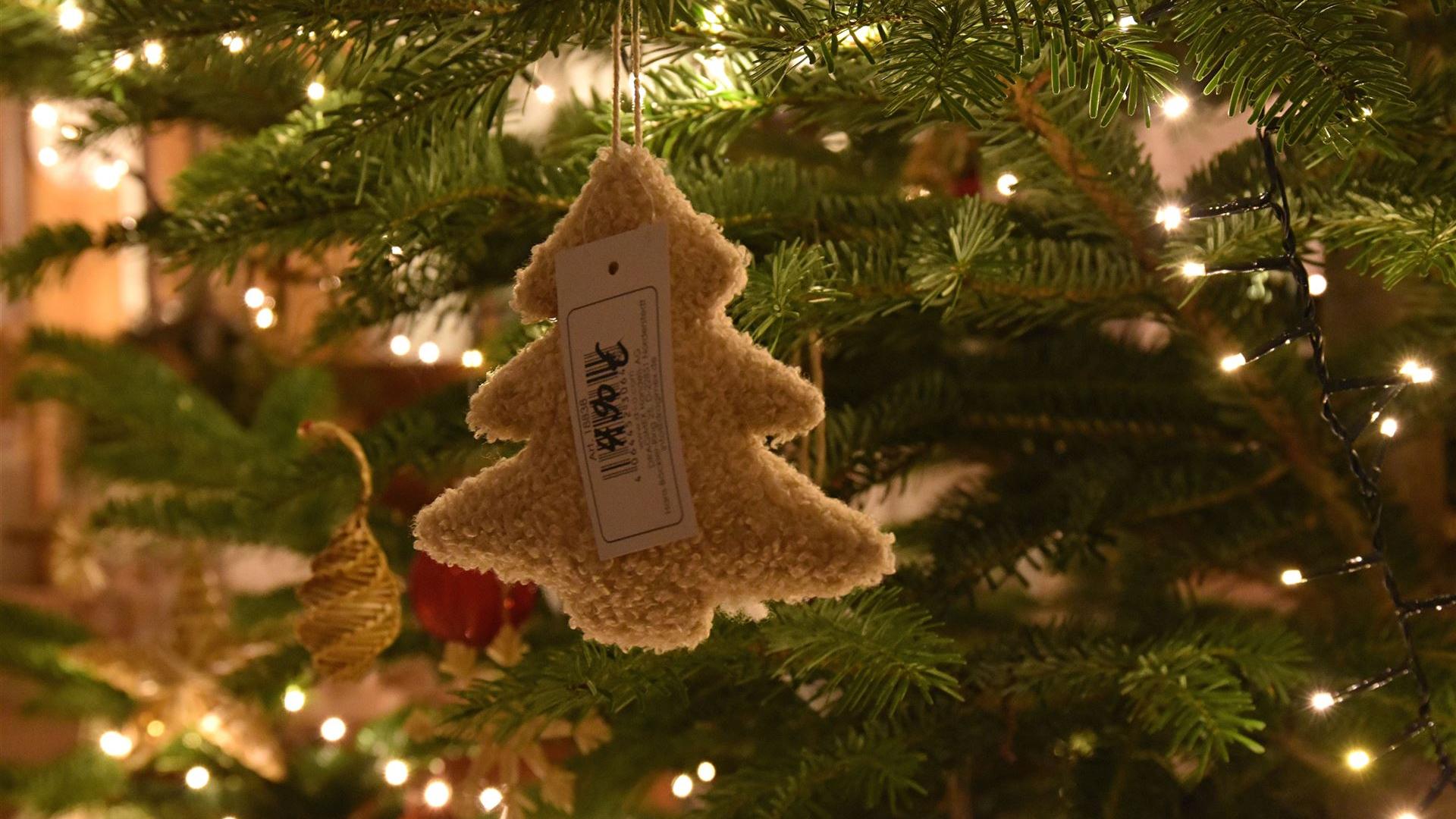 Abend im Blumenladen