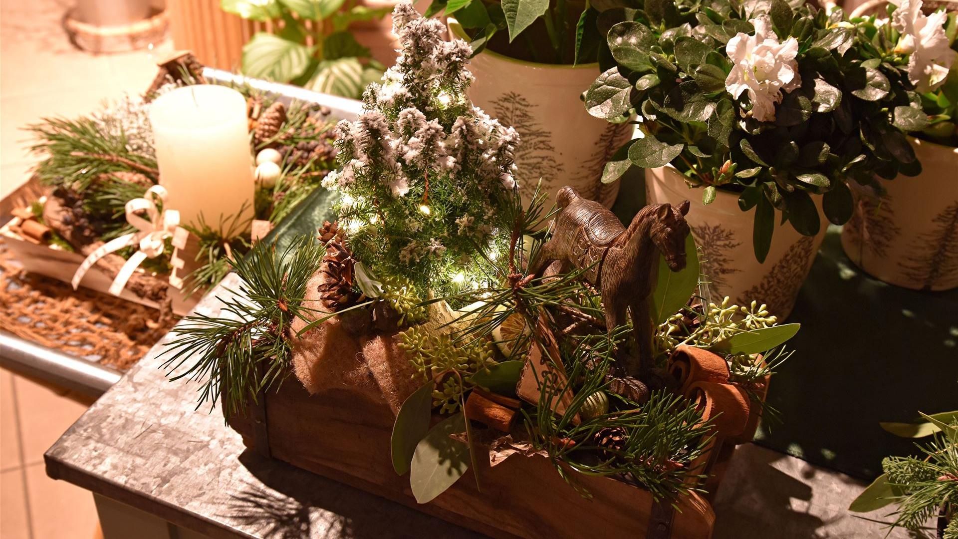 Abend im Blumenladen