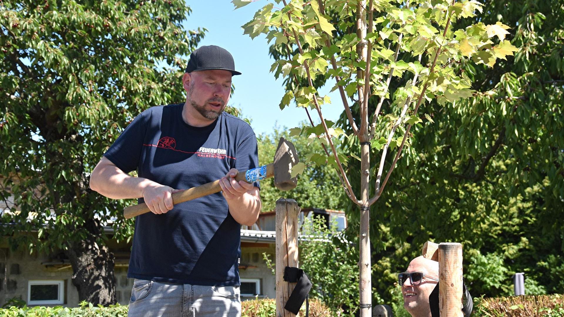 Baum pflanzen am 01.07.2025
