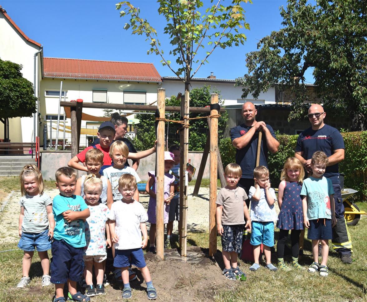 Baum pflanzen 