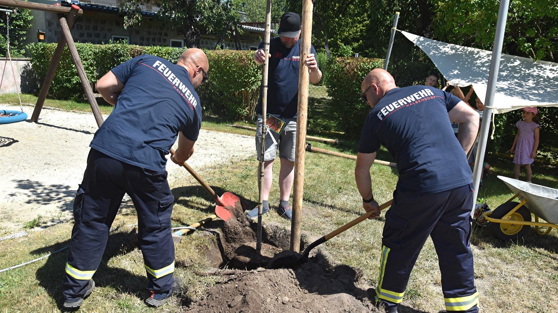 Baum pflanzen am 01.07.2025
