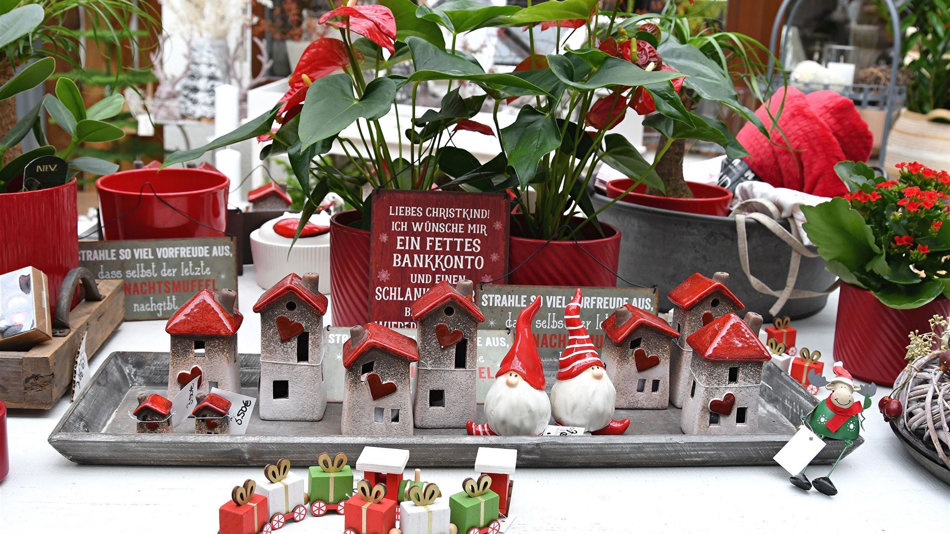 Herbst im Blumenladen Krautz