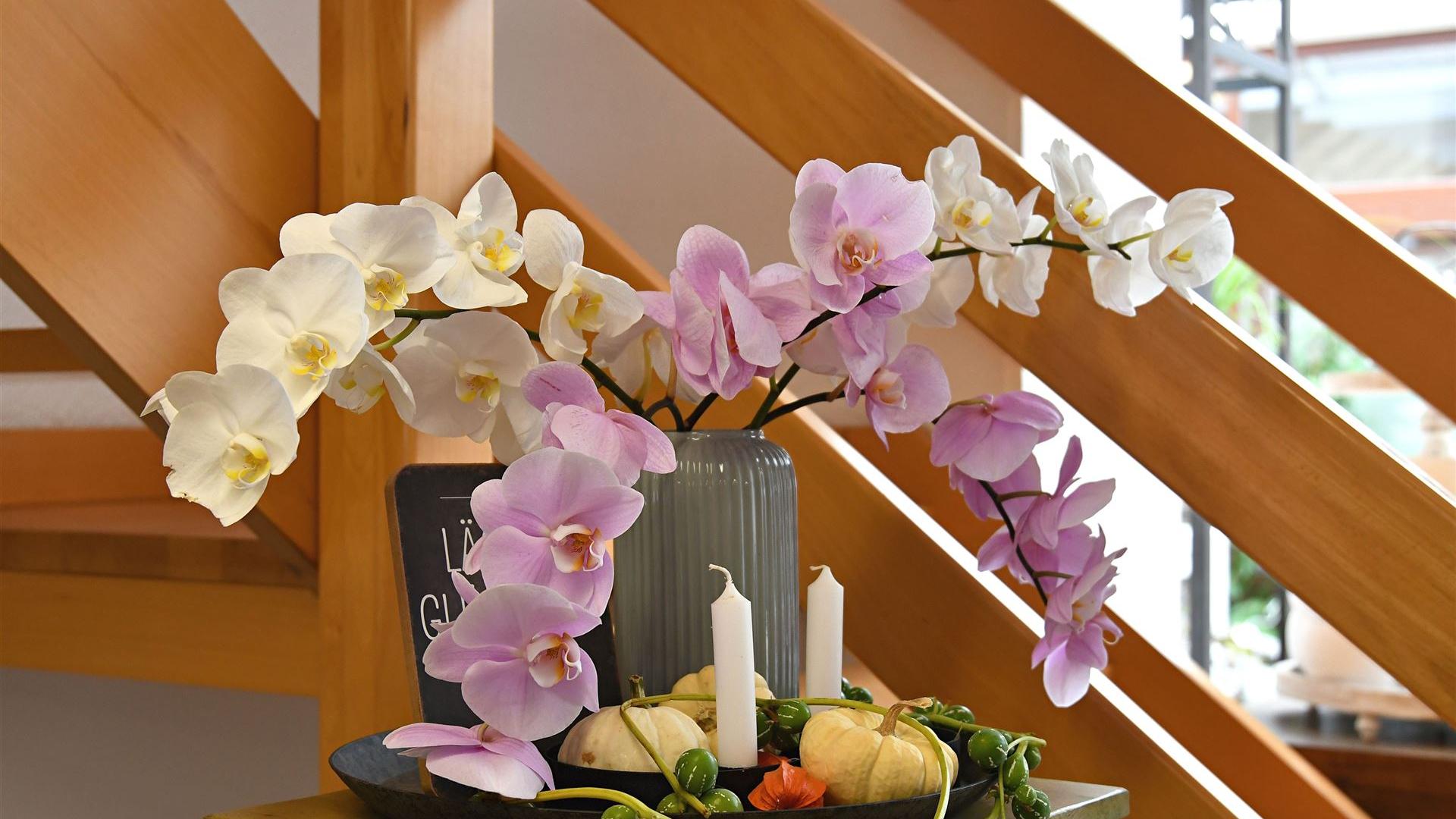 Herbst im Blumenladen Krautz