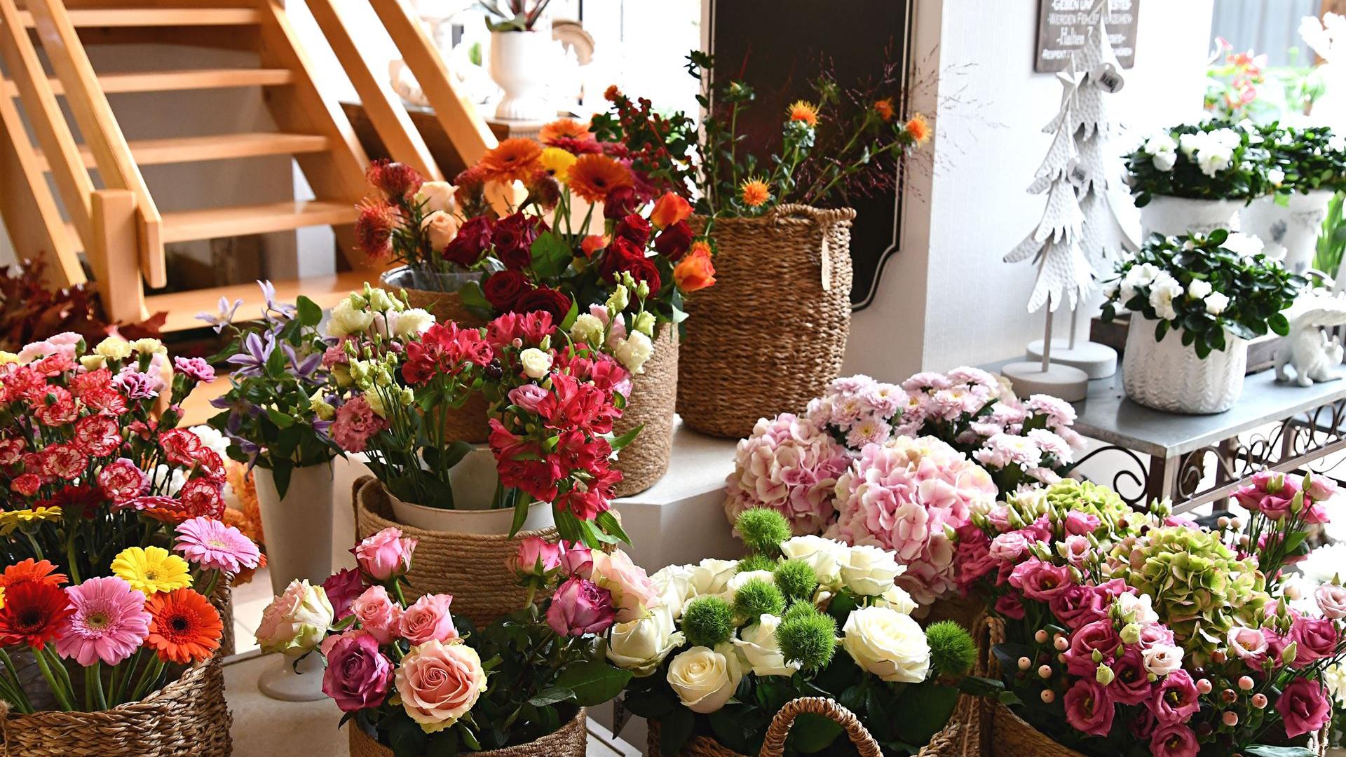 Herbst im Blumenladen Krautz