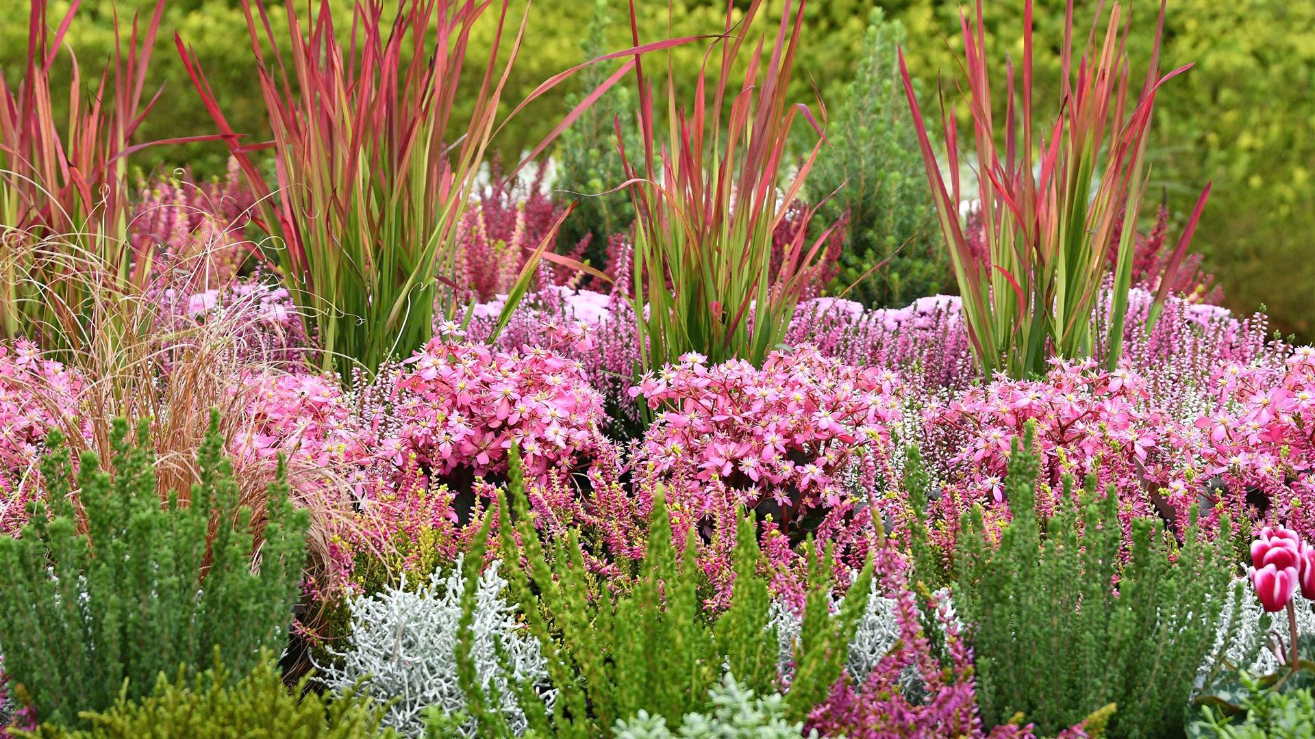 Herbst im Blumenladen Krautz