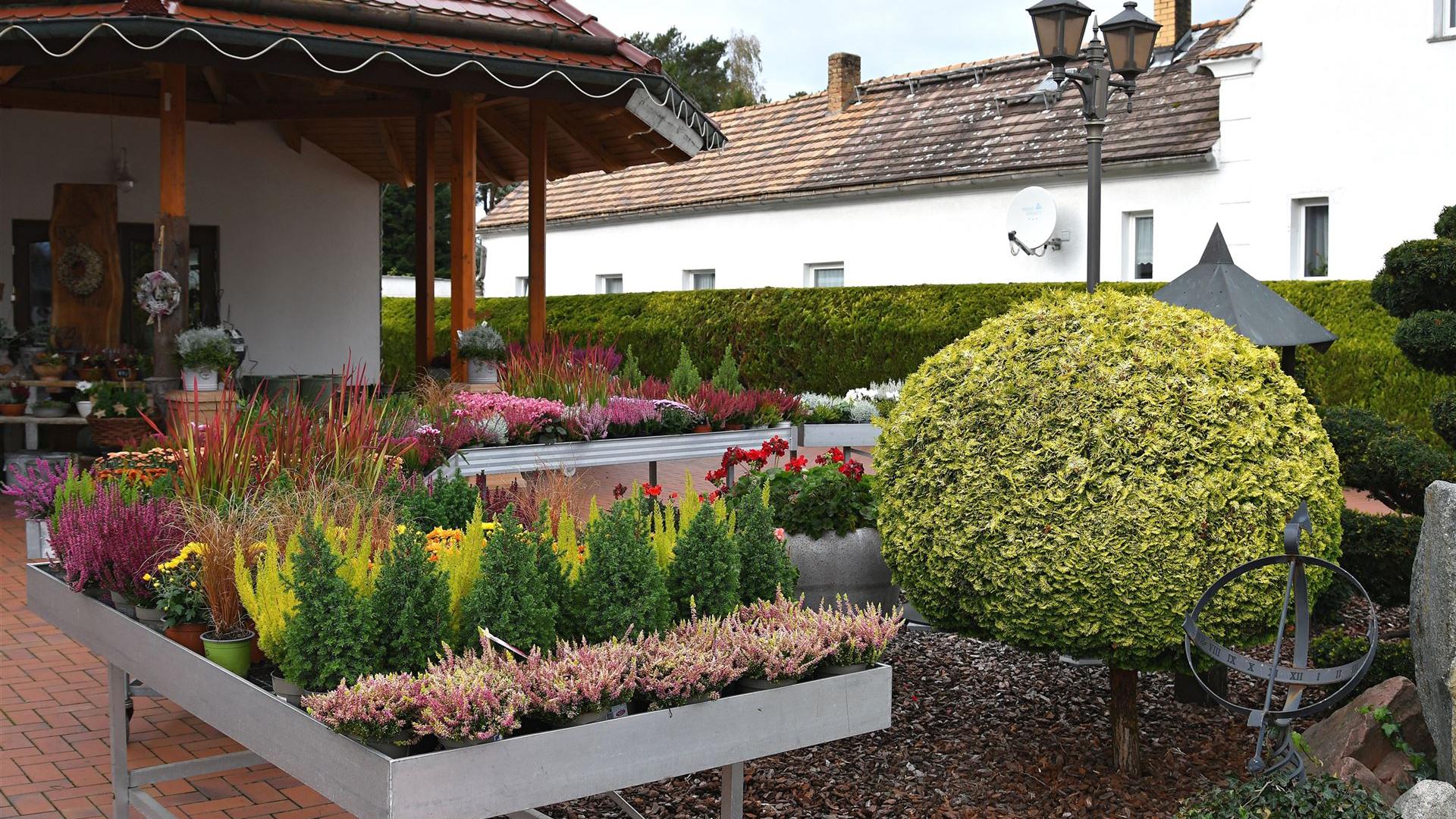 Herbst im Blumenladen Krautz