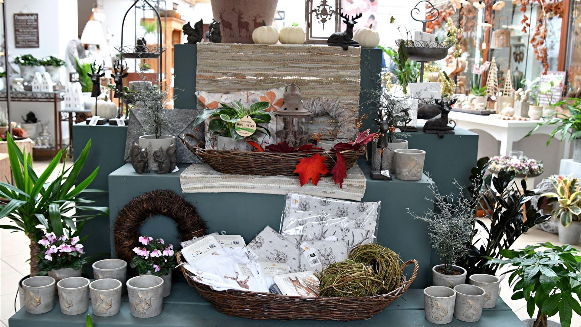 Herbst im Blumenladen Krautz