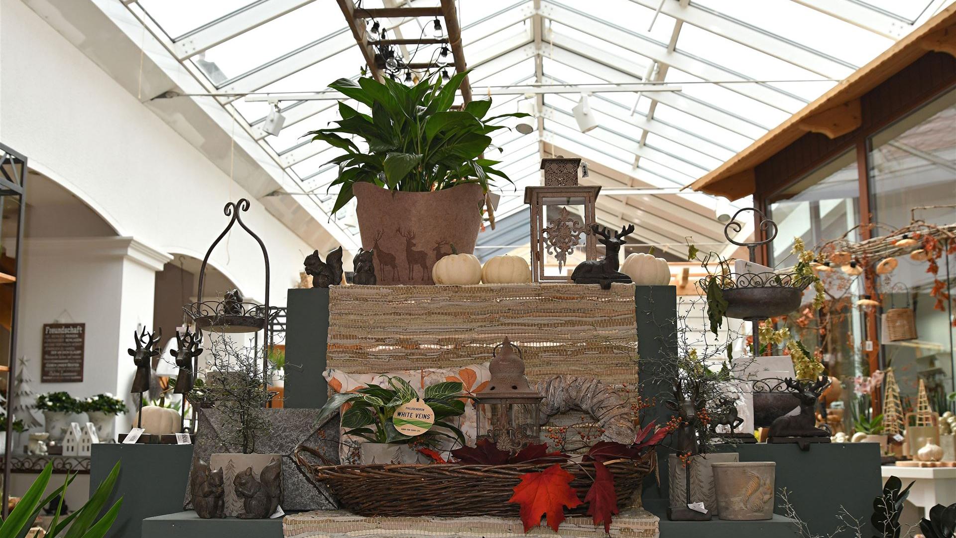 Herbst im Blumenladen Krautz