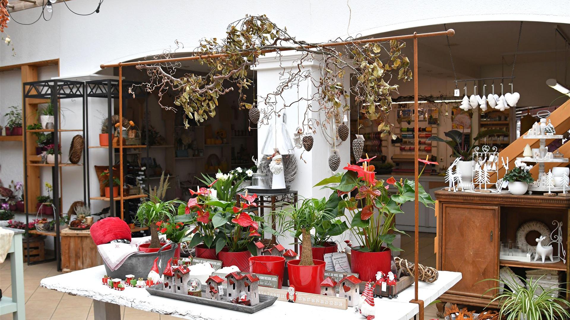 Herbst im Blumenladen Krautz