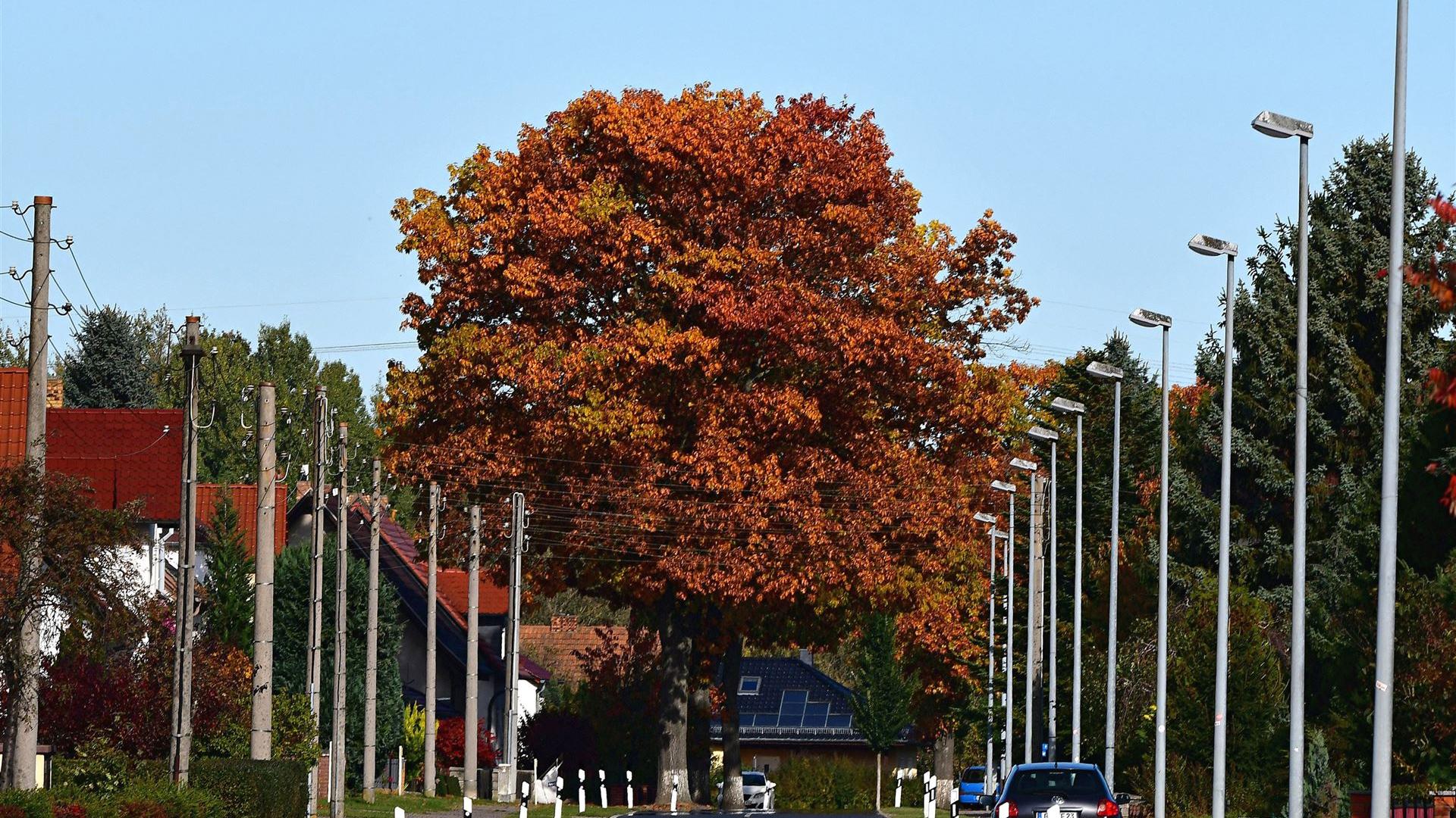 Groß Düben im Herbst 2025