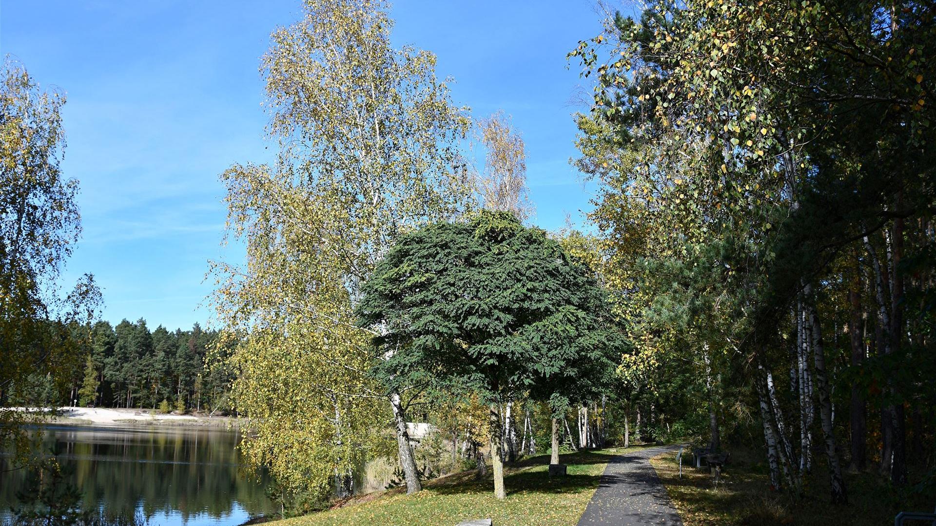 Groß Düben im Herbst 2025