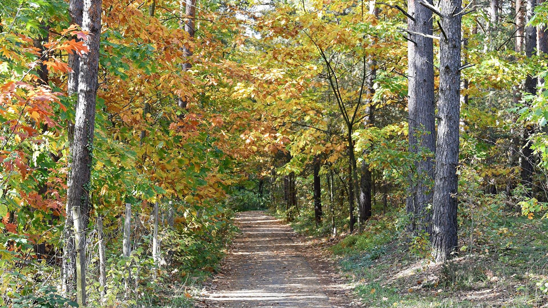 Groß Düben im Herbst 2025