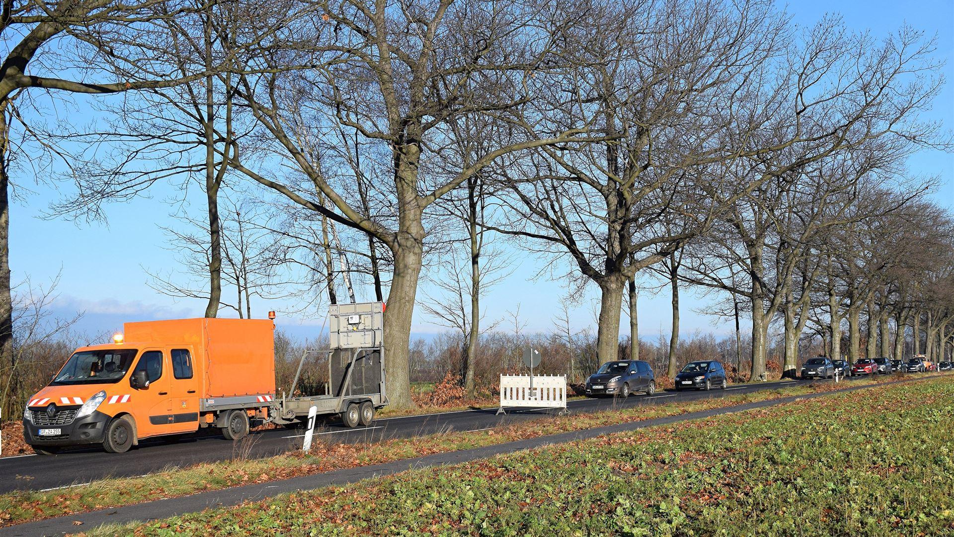 Fällung Eiche am 18.12.2025