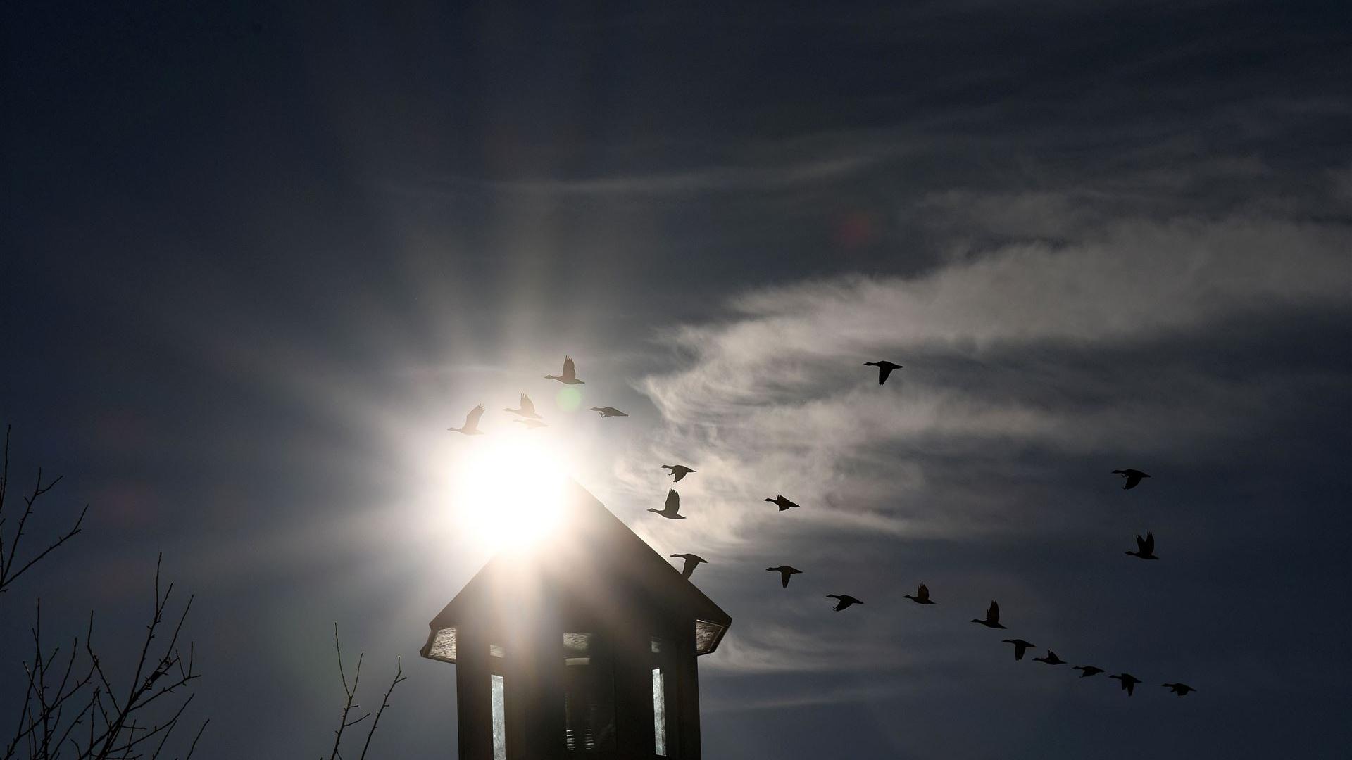 Der Leuchtum am Halbendorfer See  am 23.11.2025