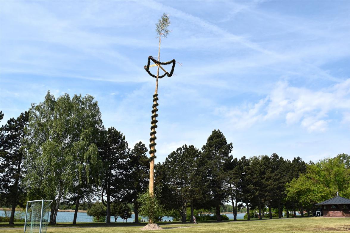 Maibaum am Halbendorfer See 2025