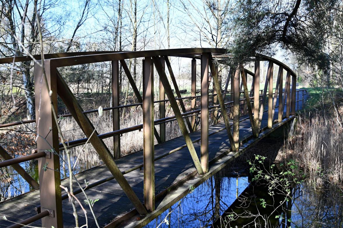 Brücke am Halbendorfer See