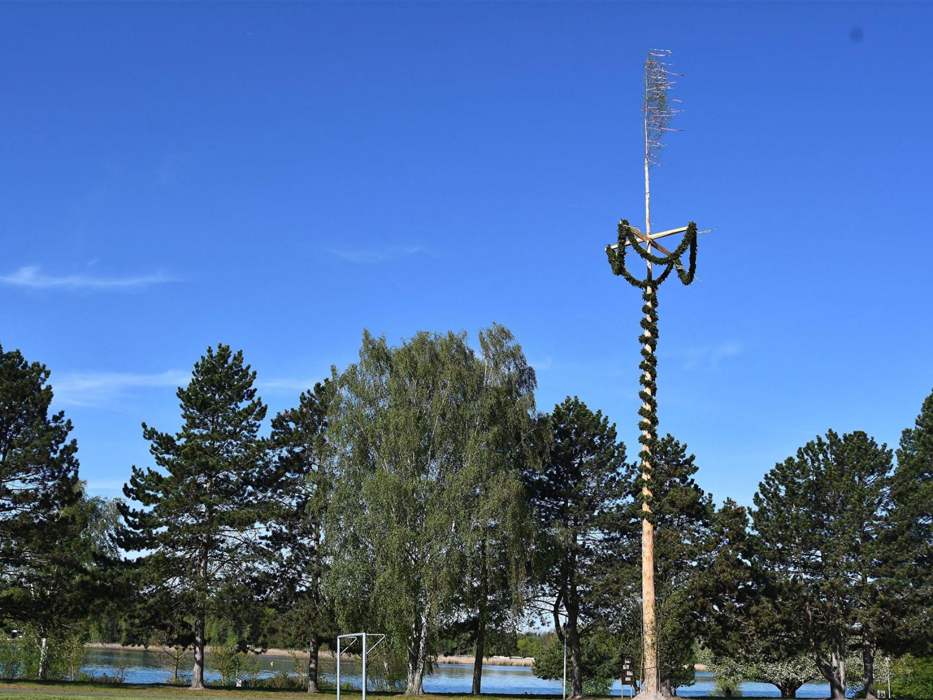 Maibaum 2026 in Halbendorf