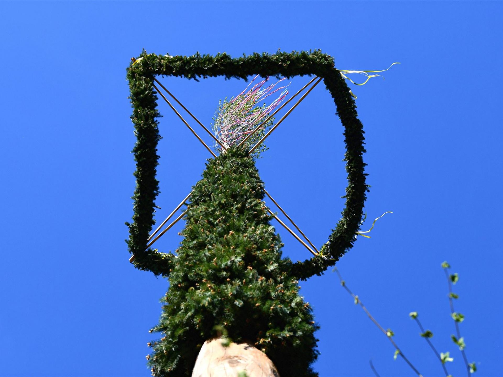Maibaum 2026 in Halbendorf