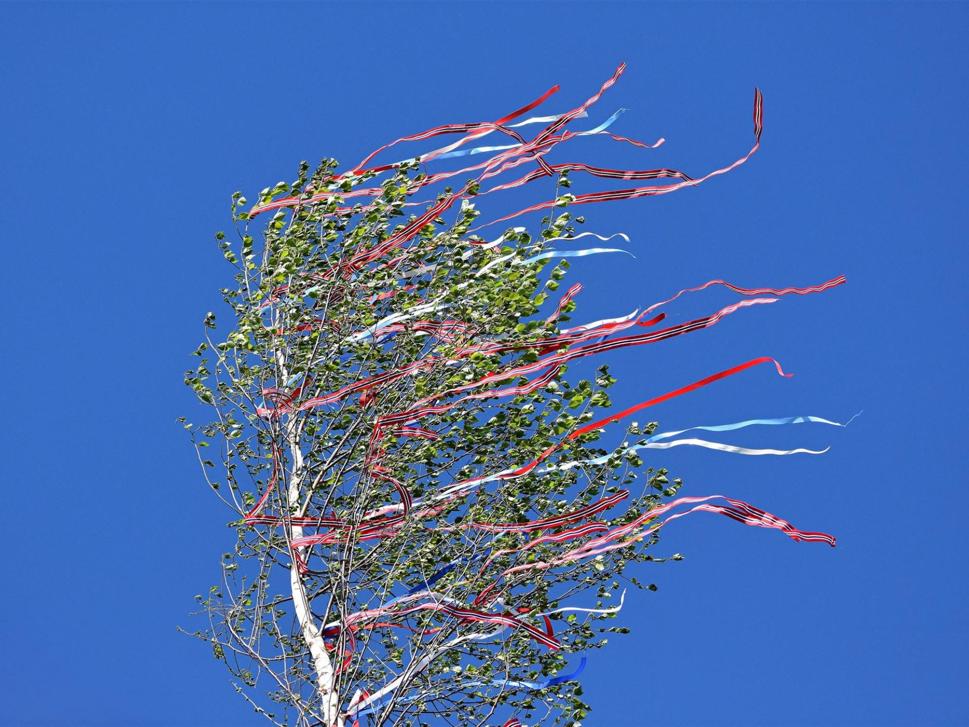 Maibaum Halbendorf 2026