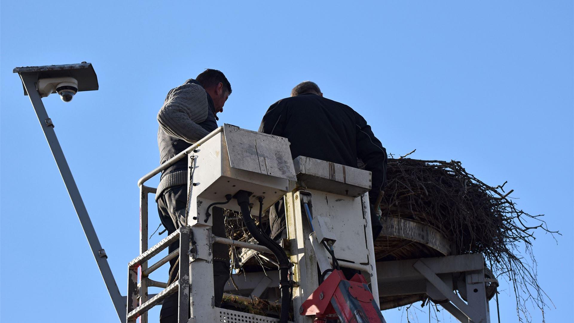 Reinigung Storchennest 2026