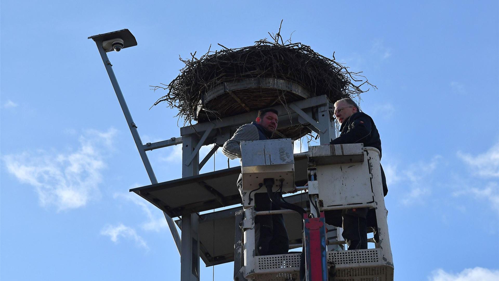 Reinigung Storchennest 2026