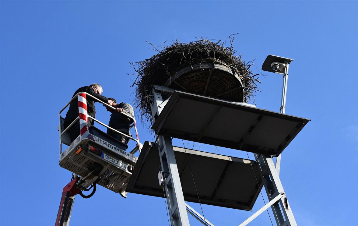 Storchennest Reinigung 2026