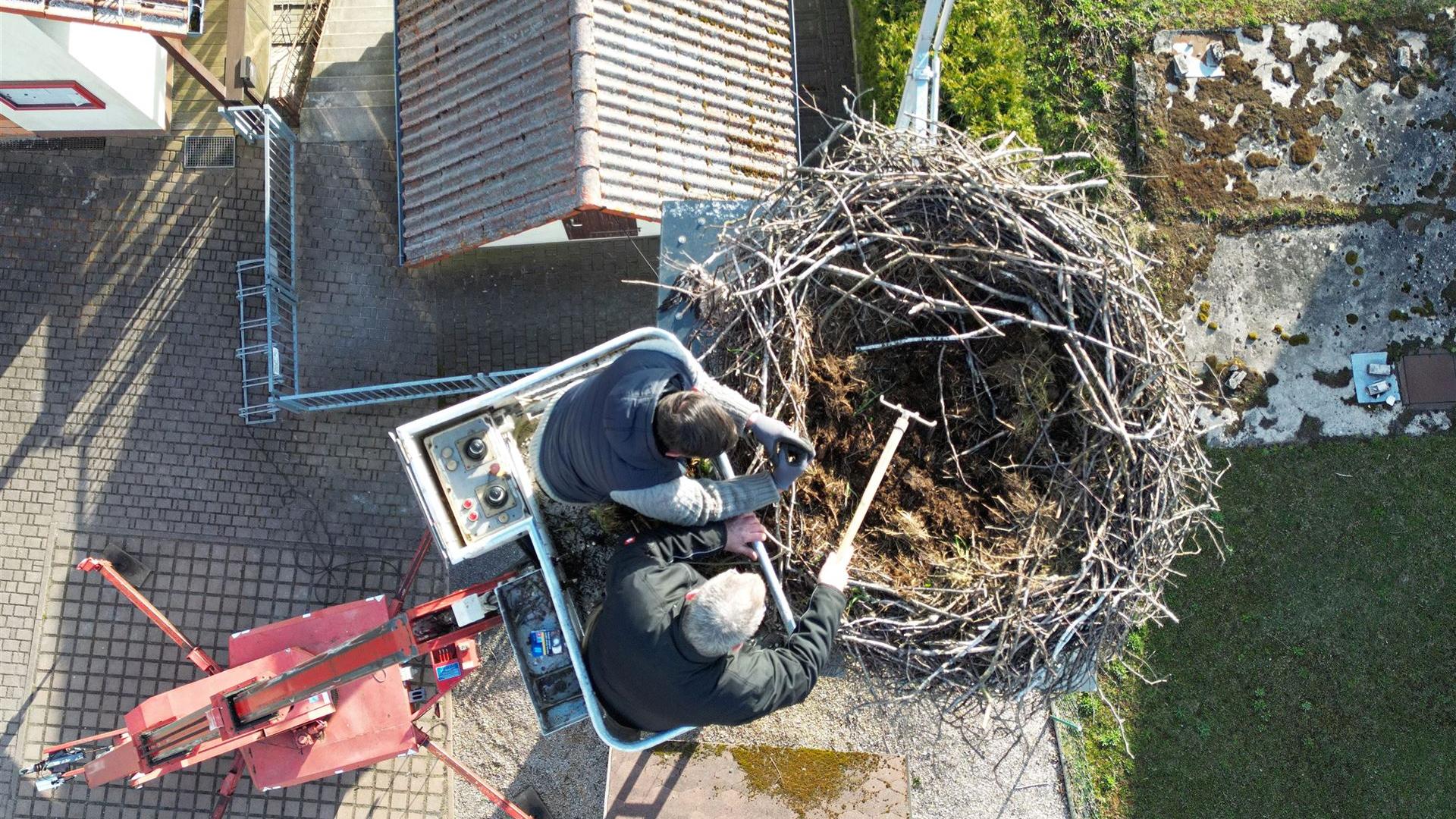Reinigung Storchennest 2026